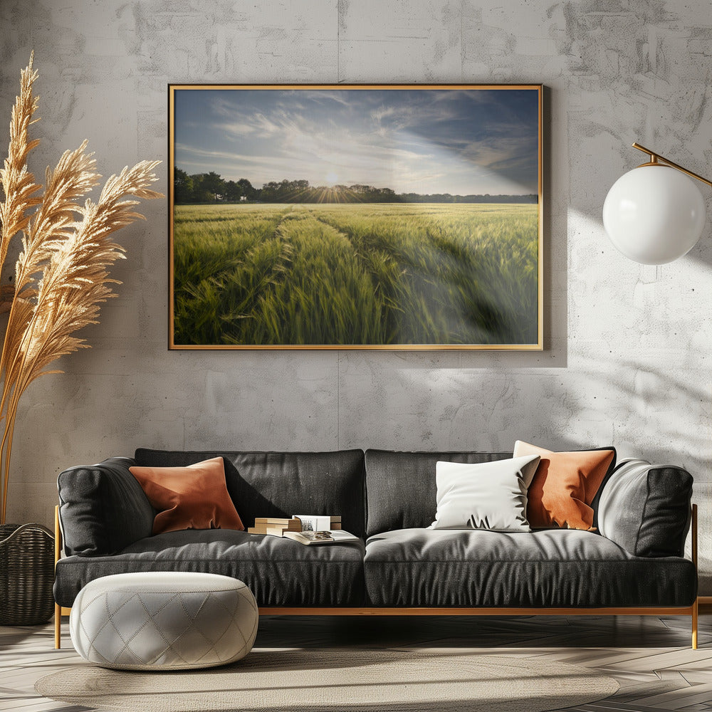 Barley Meadow | Canvas