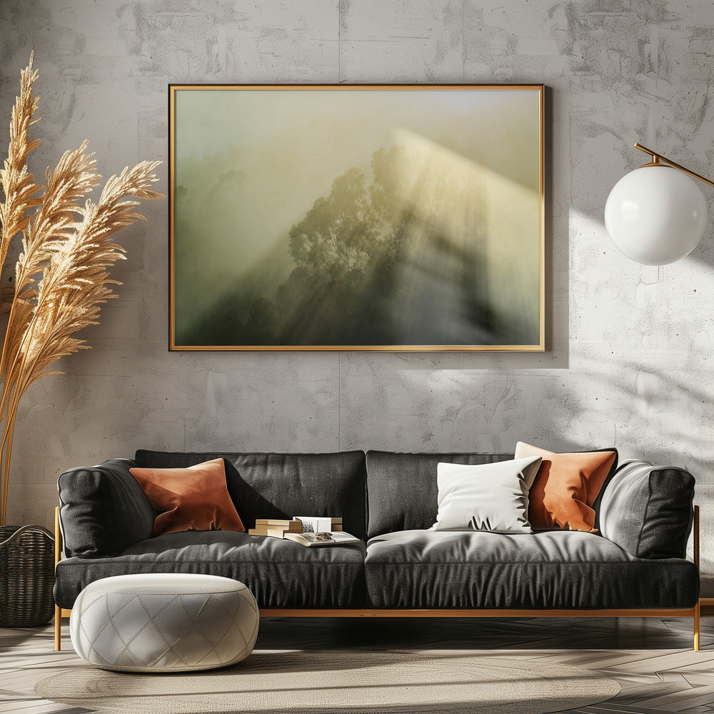 Foggy Woods III | Canvas