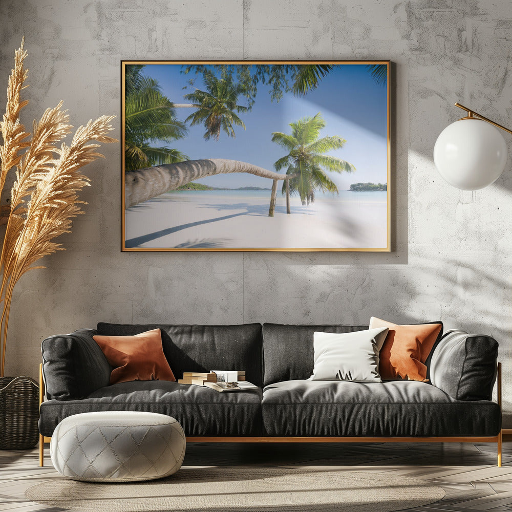 Tropical Palm | Poster