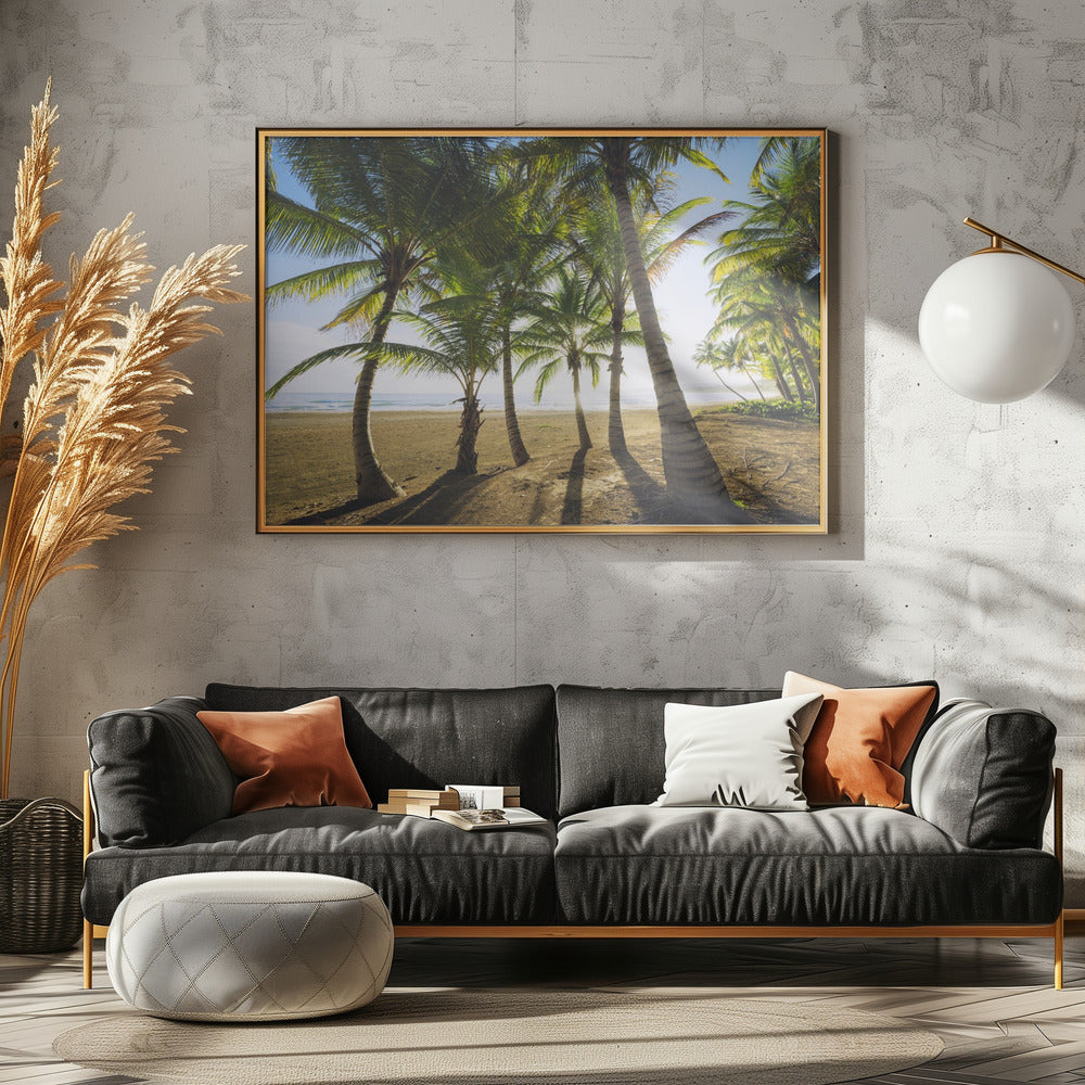 Tropical Morning | Poster