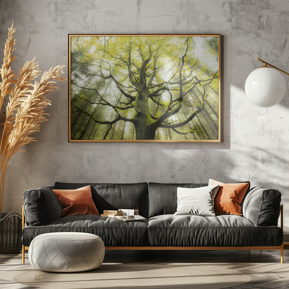 The Dream Tree | Canvas