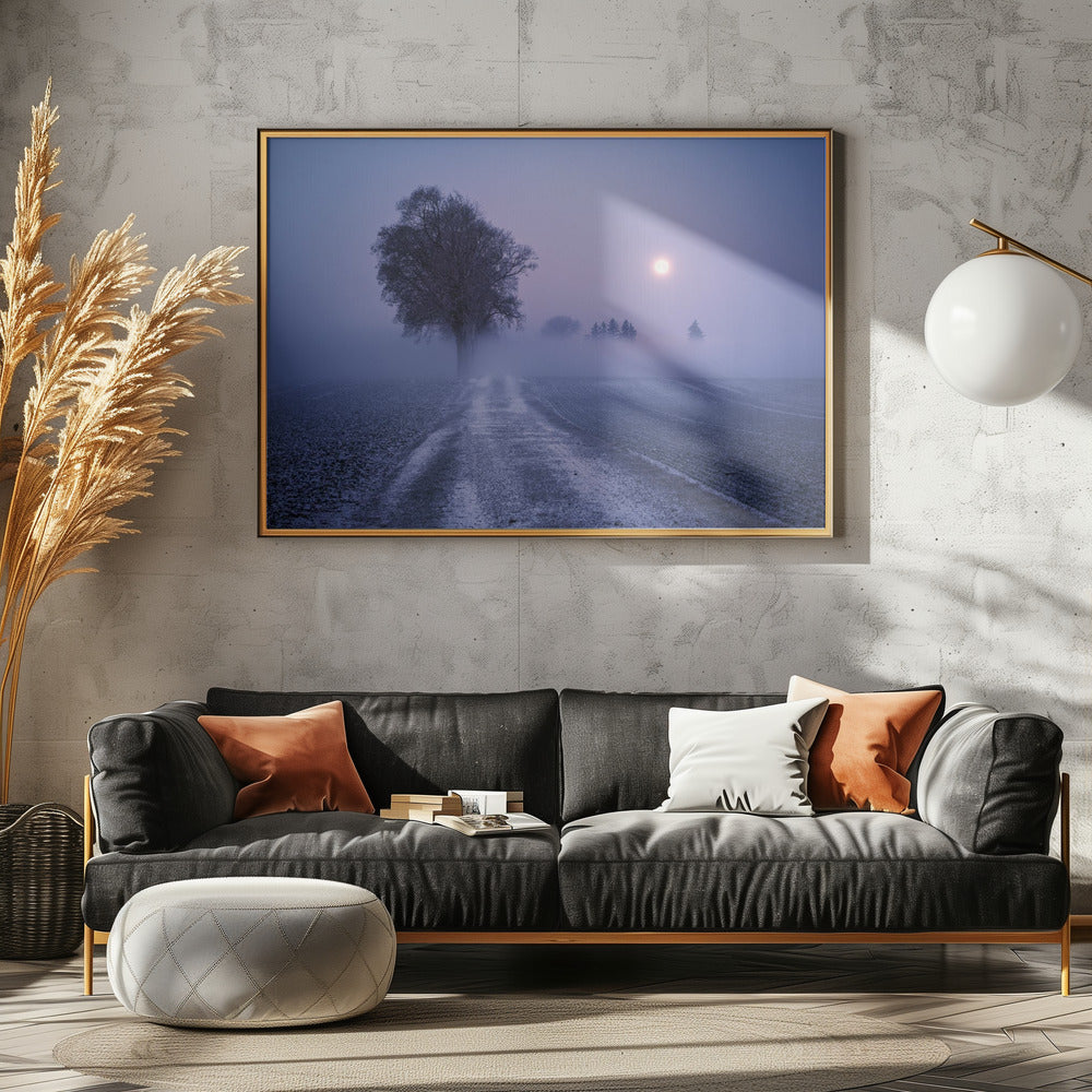 Moonlit Path | Canvas