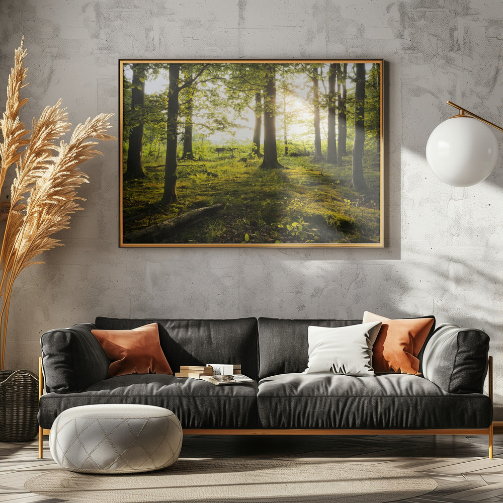 Summer in the Woods | Canvas