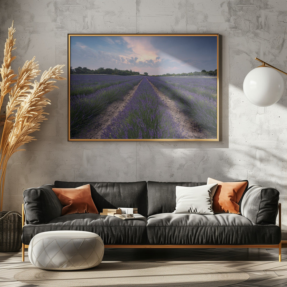 Blue Lavender | Canvas