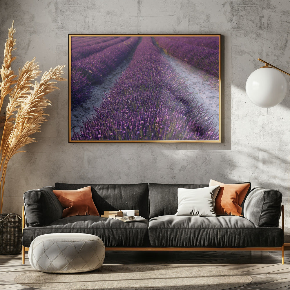 Lavender Detail | Poster