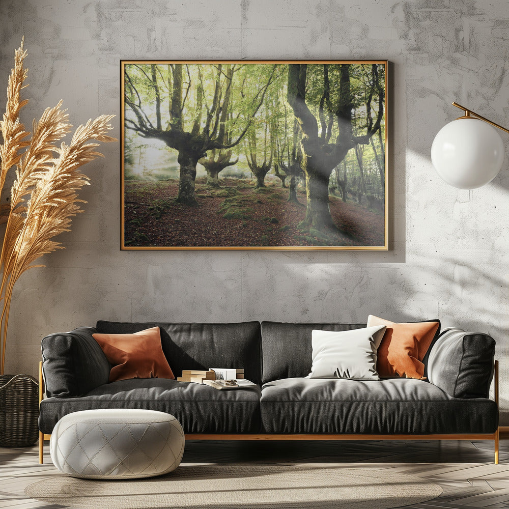 Magic Grove | Poster