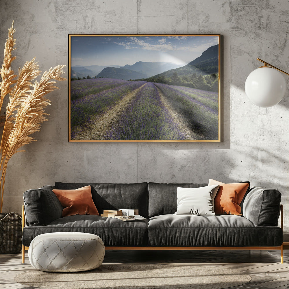 Lavender Hills | Canvas