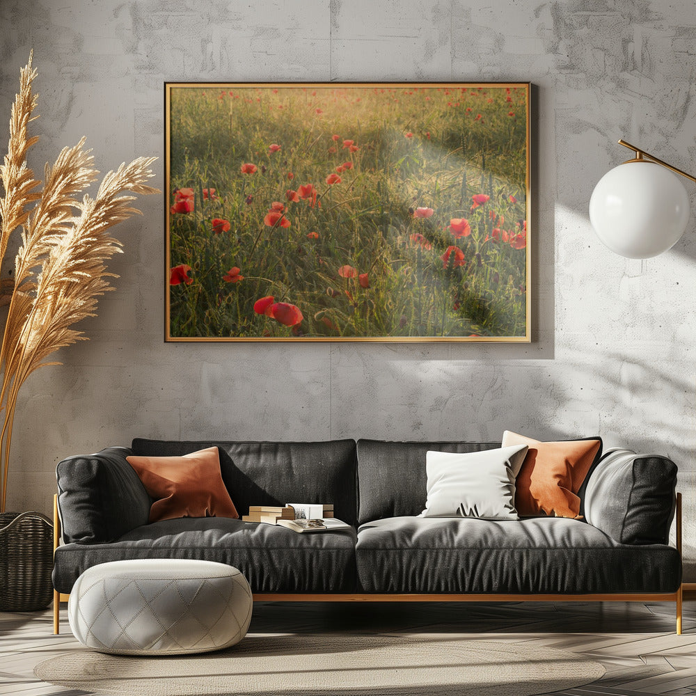 Poppy World II | Canvas