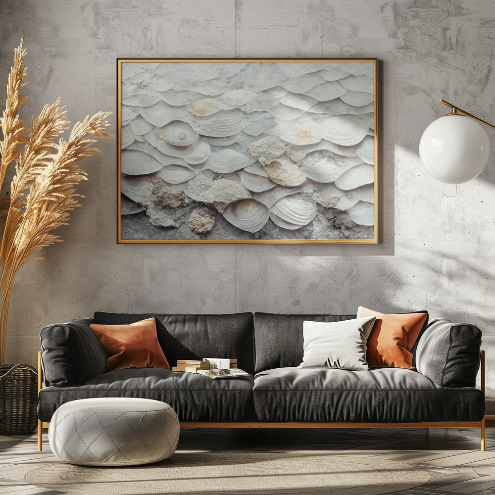 Shell Harmony Wall | Canvas