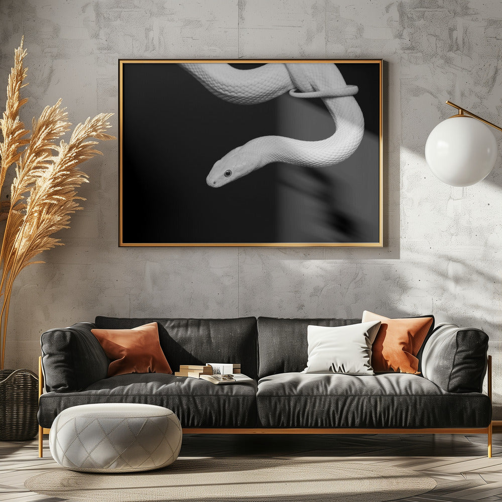 Serpent Blanc | Poster