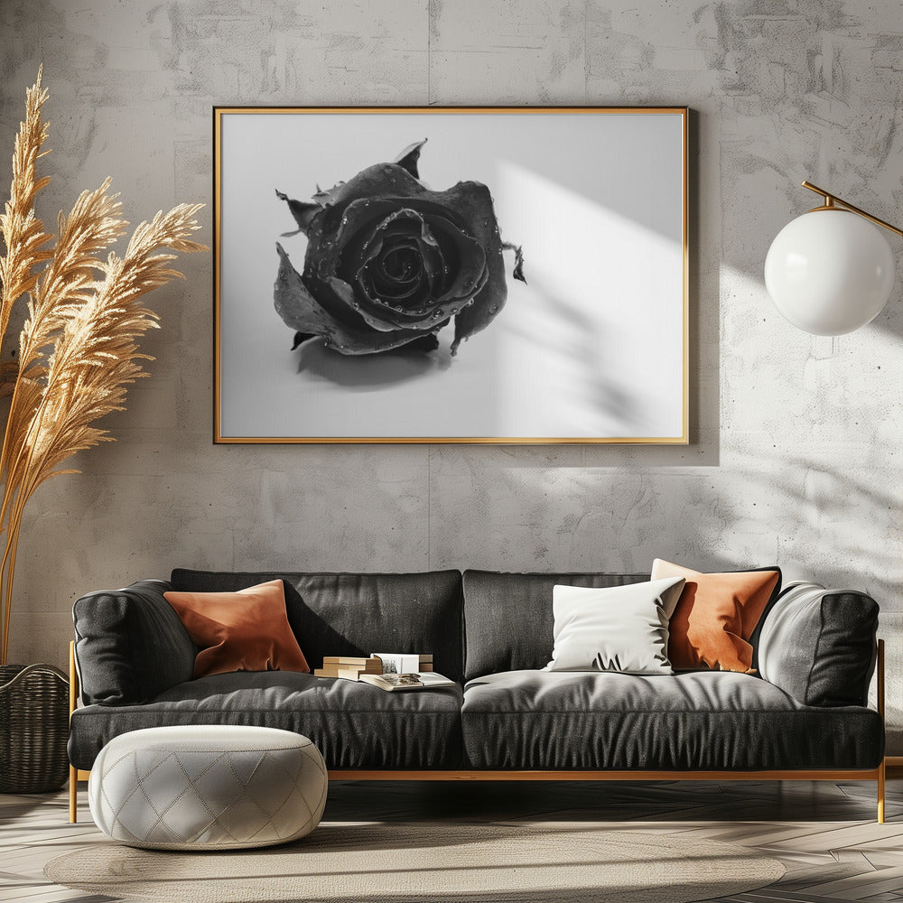 Rose Noir | Canvas