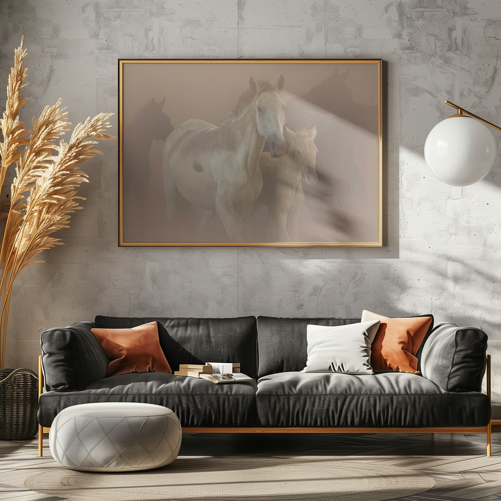 Saca de las Yeguas | Canvas