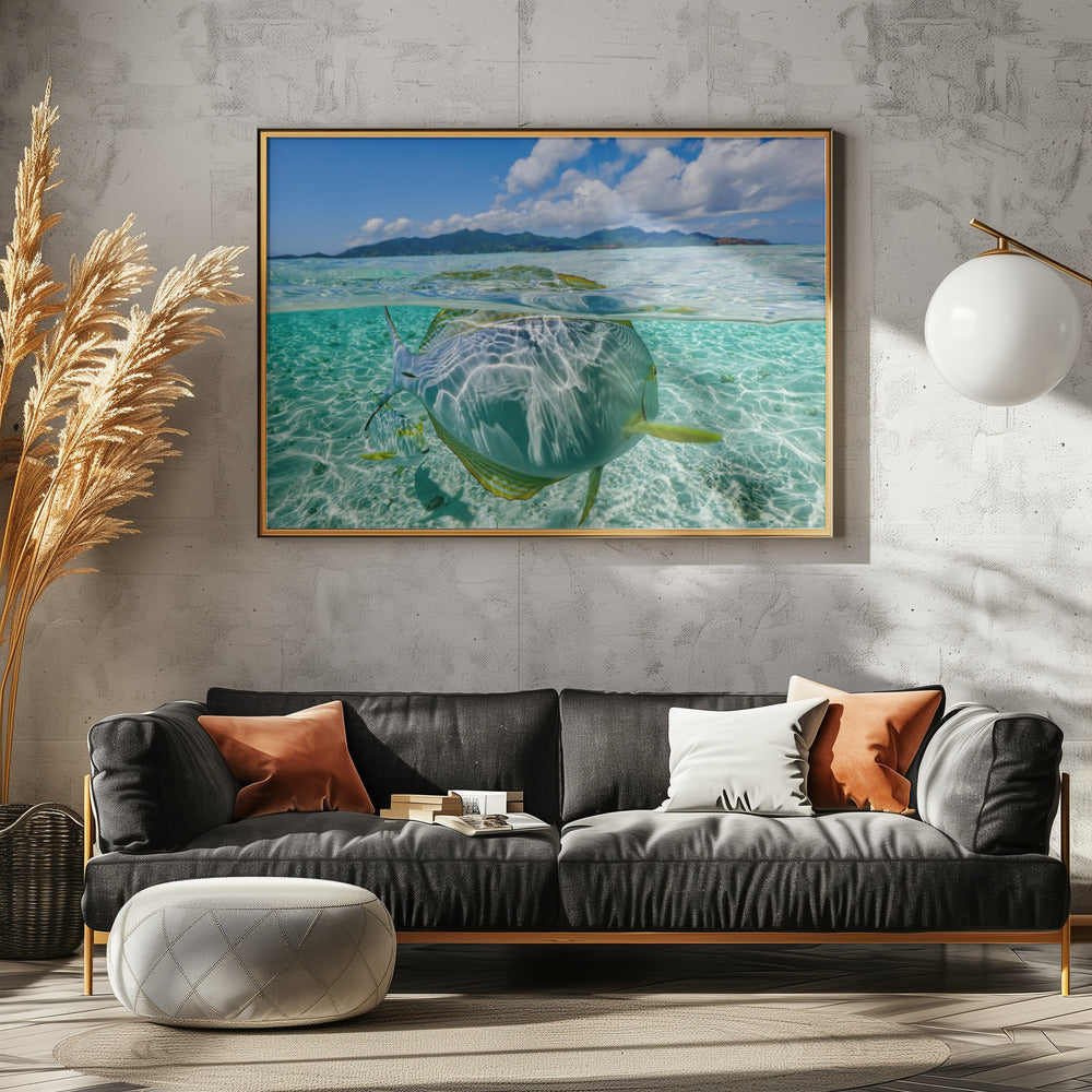 Swimming pool | Canvas
