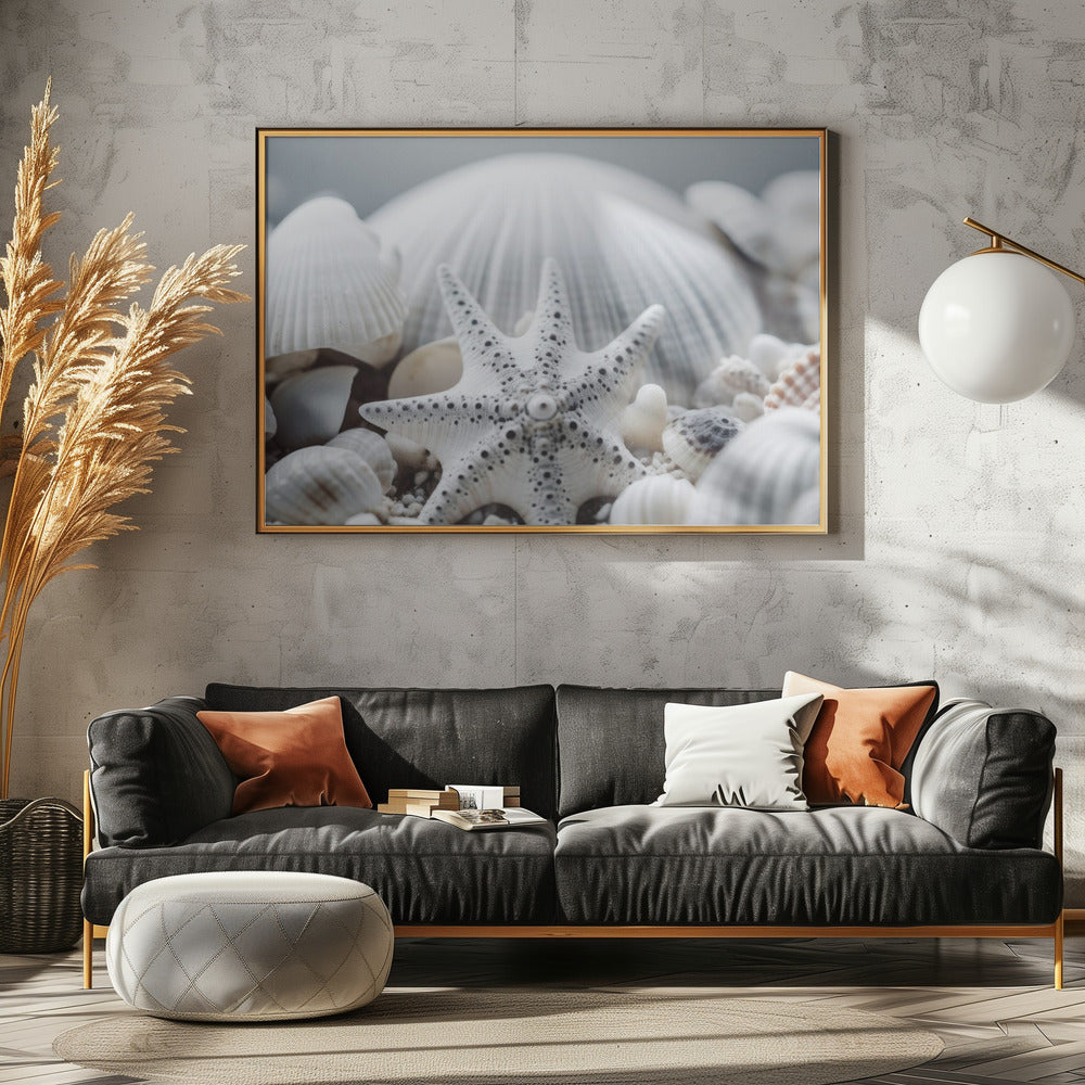 Seashell Symphony | Canvas