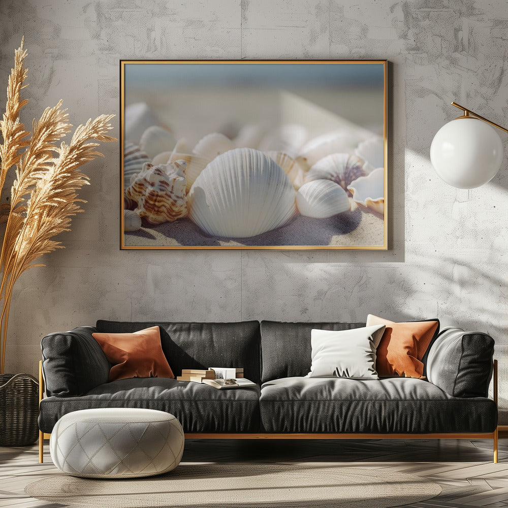 Seaside Shells | Canvas