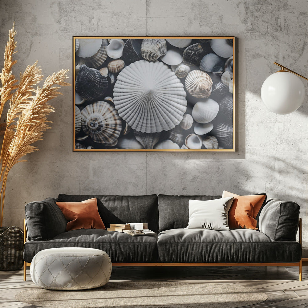 Shell Symphony | Canvas