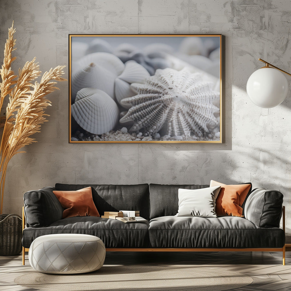 Seashell Serenity | Poster