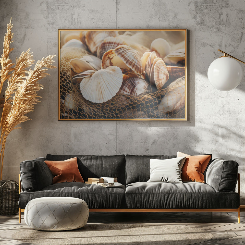 Seashell Symphony | Canvas