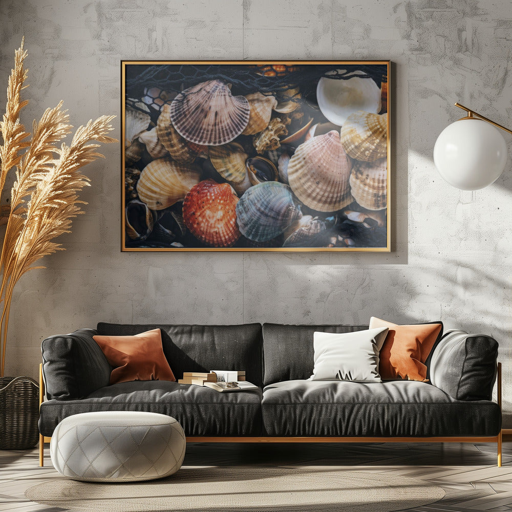 Shell Symphony | Canvas