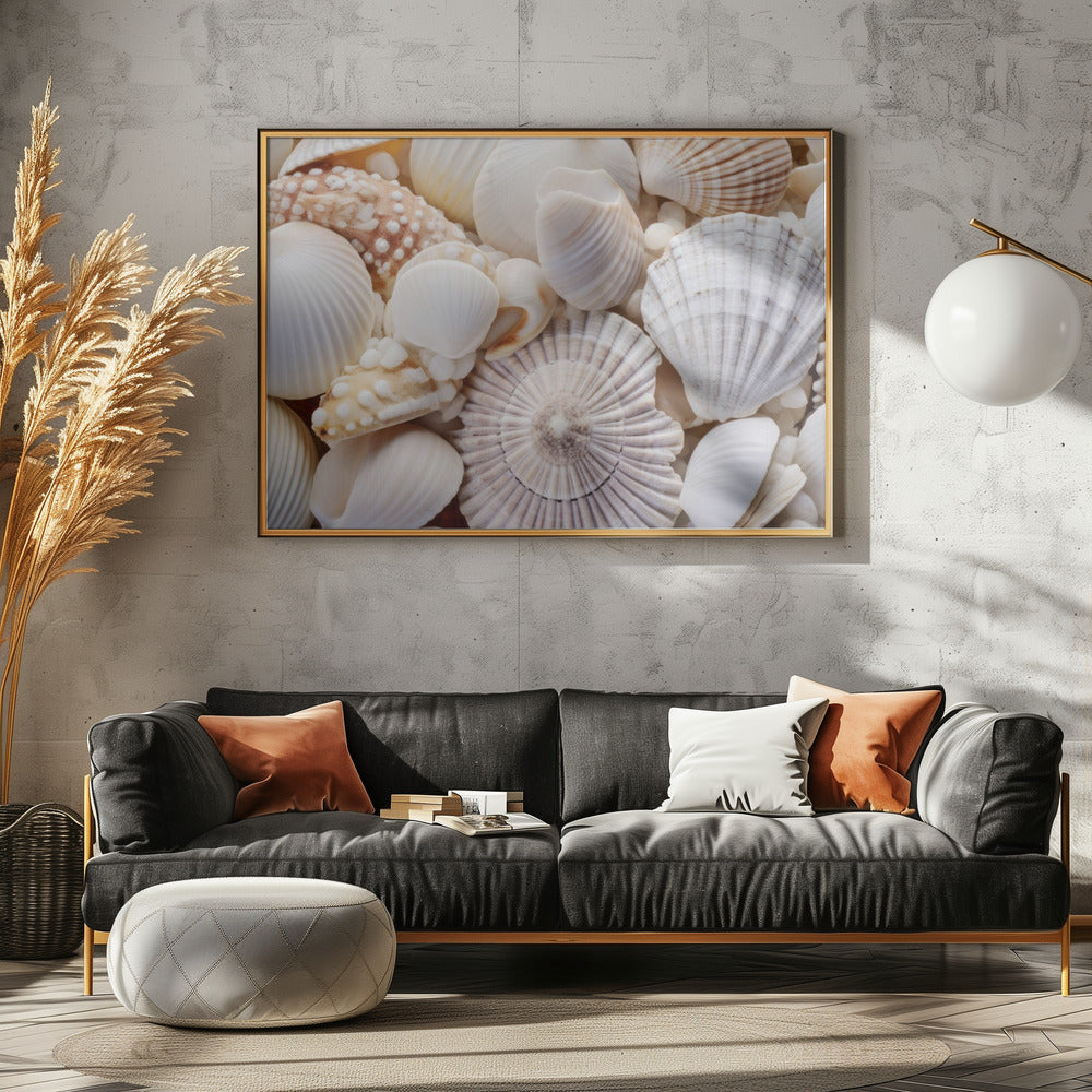 Seashell Symphony | Canvas