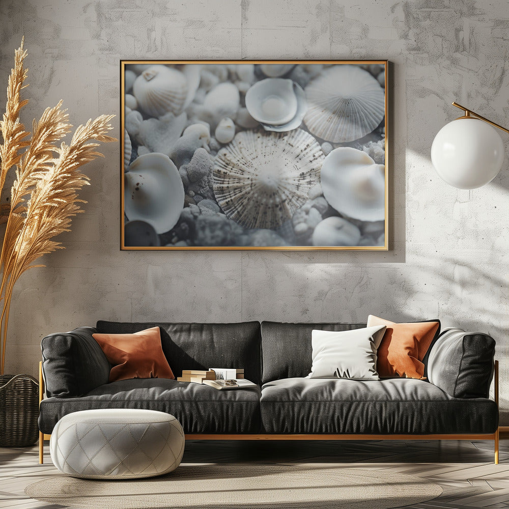 Seashell Symphony | Canvas
