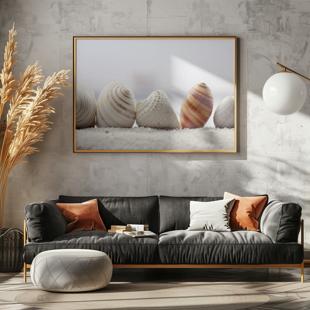 Seashell Symphony | Canvas