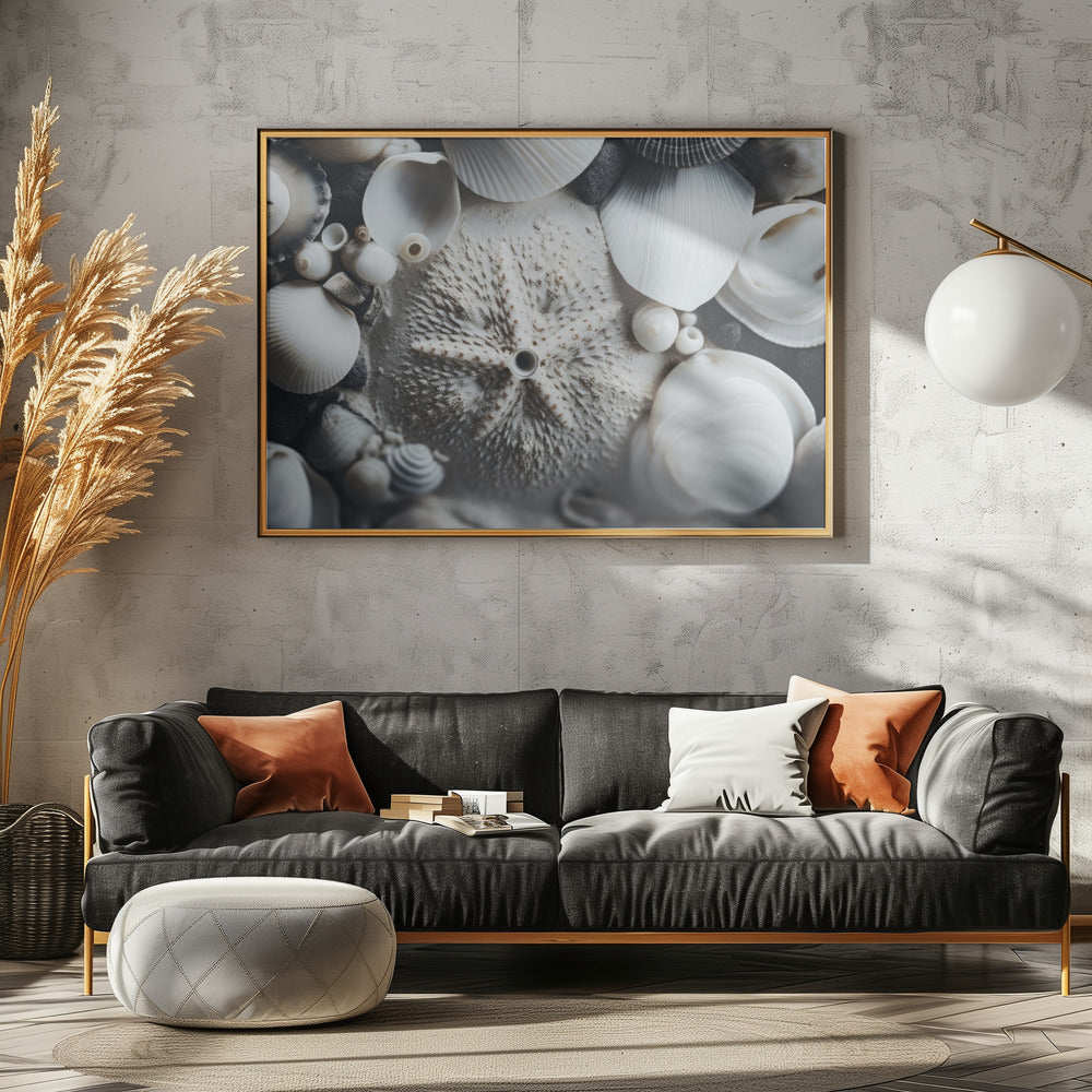 Seashell Symphony | Canvas