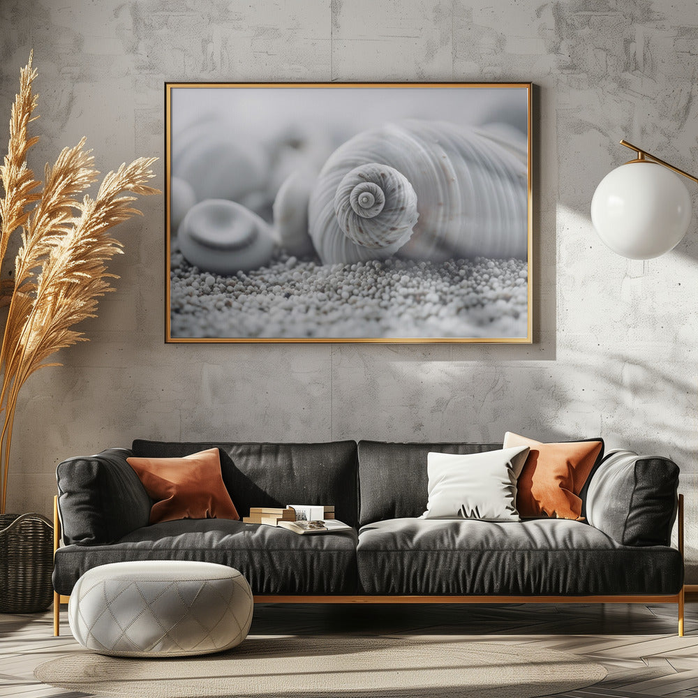Seashell Serenity | Canvas
