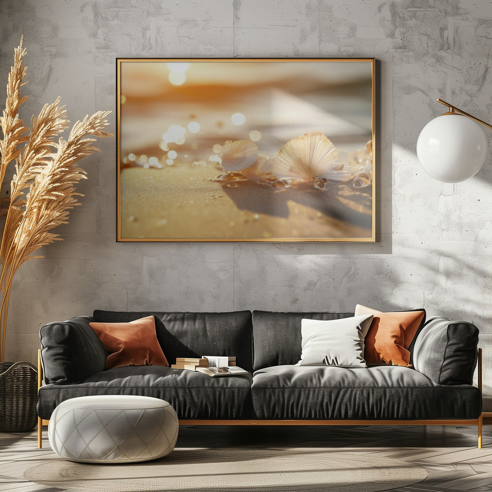 Sunlit Seashells | Poster