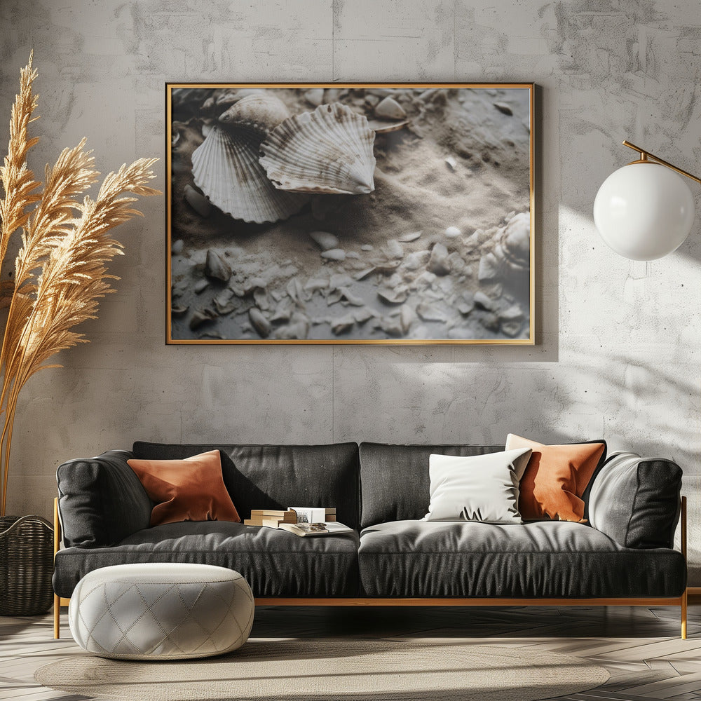 Seashell Serenity | Poster