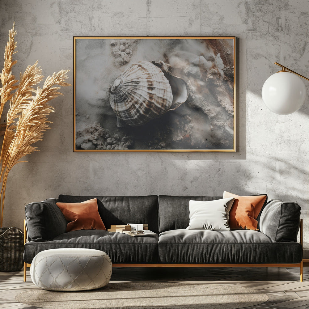 Seashell Serenity | Canvas