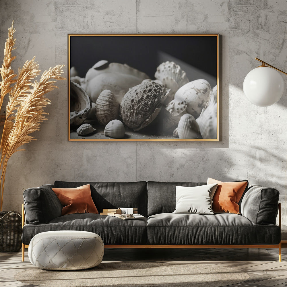 Shell Symphony | Canvas