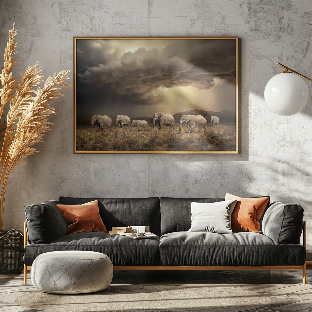 FreeElephants | Poster