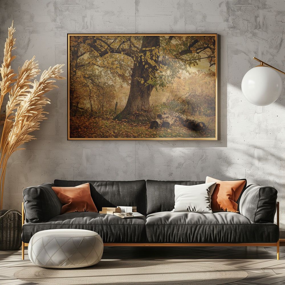 Old tree | Canvas