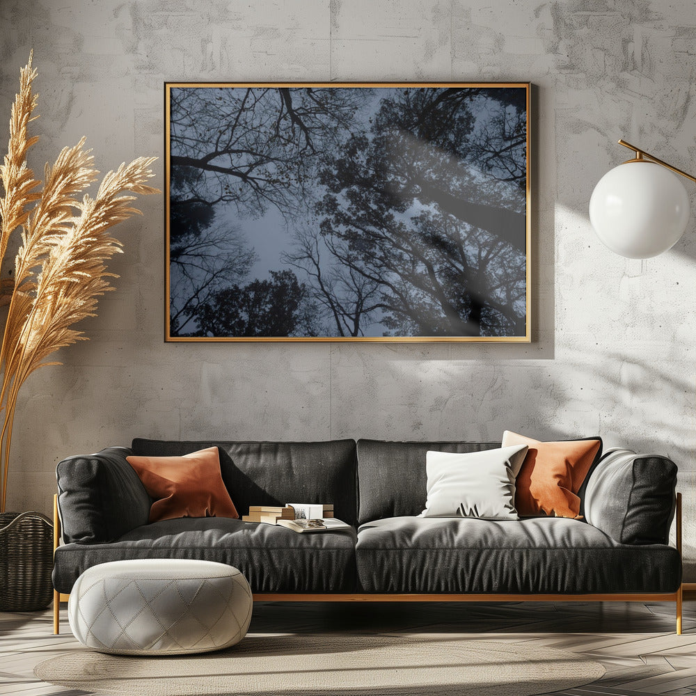 Looking Up 1 | Poster