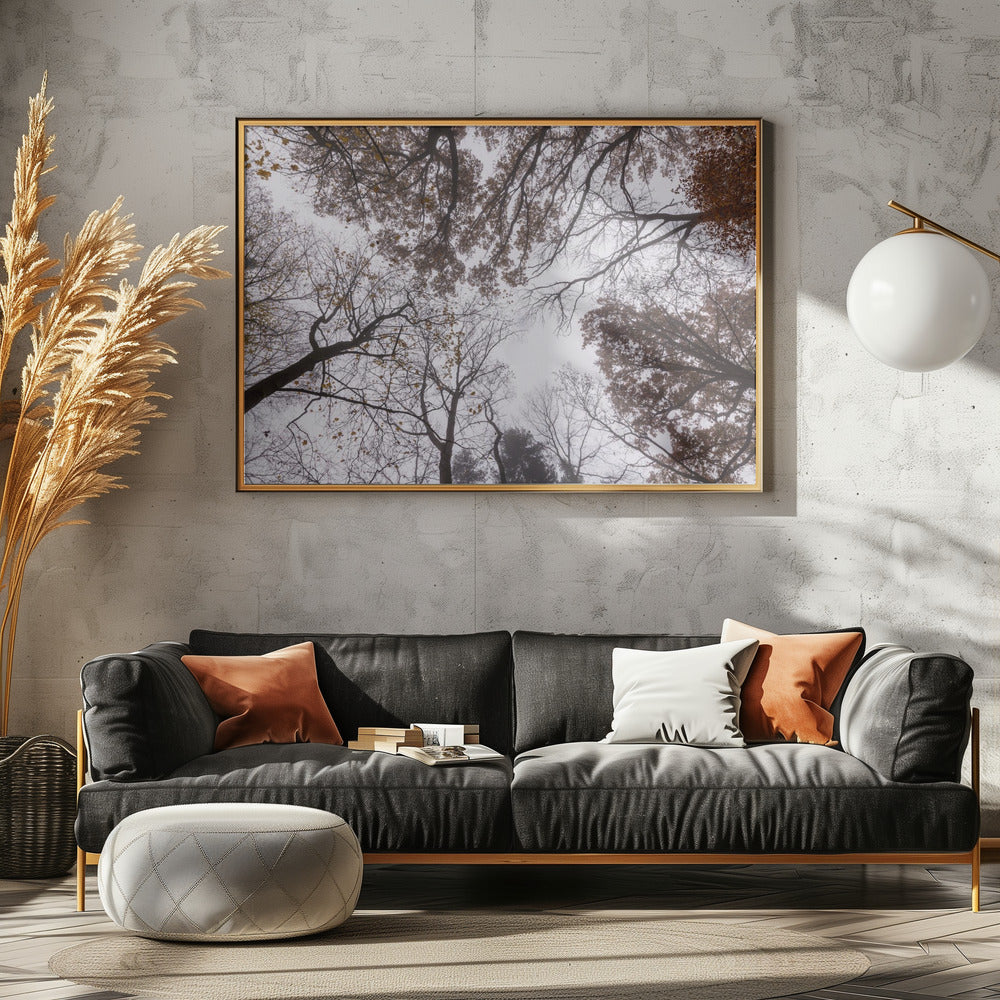 Looking Up 2 | Poster