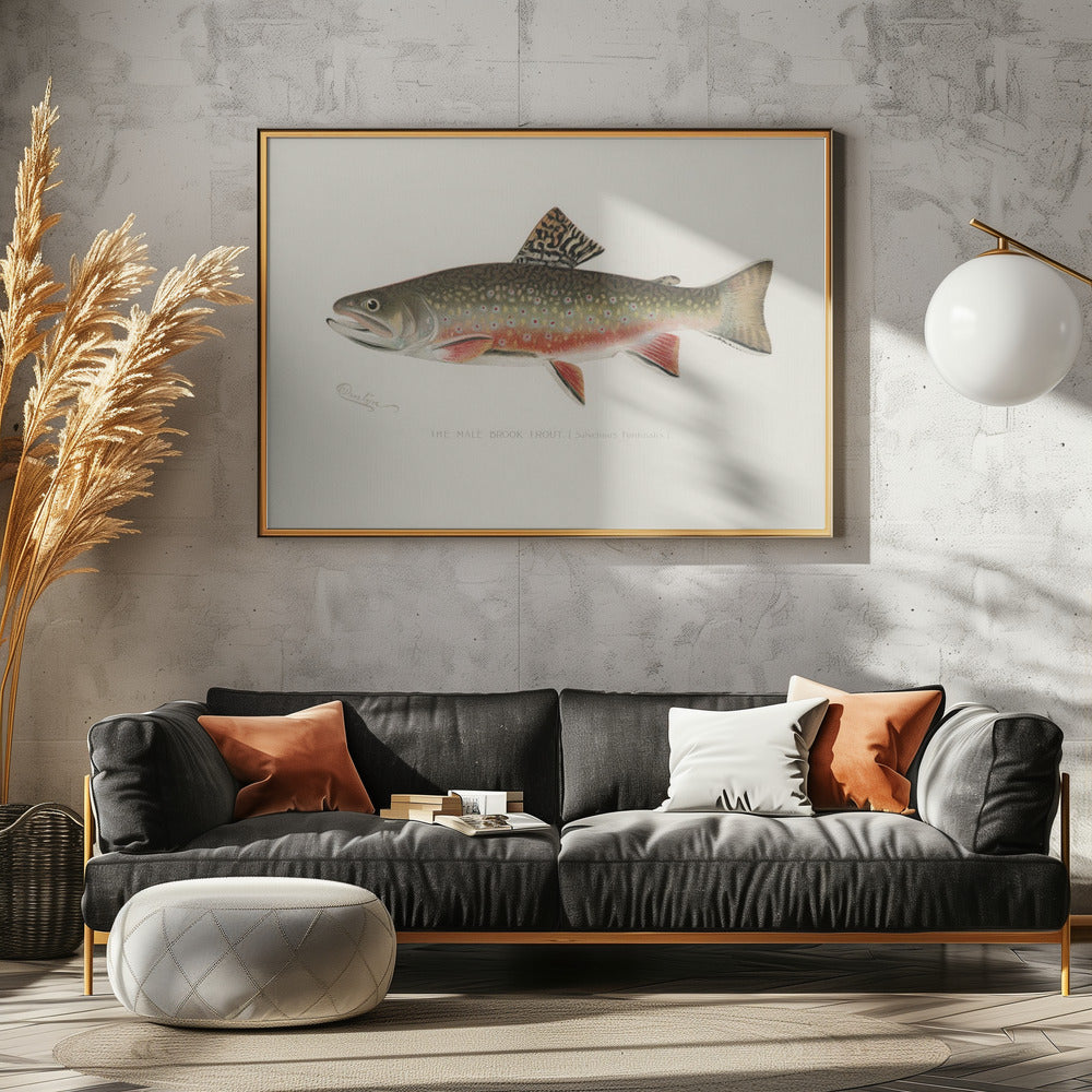 Male Brook Trout | Canvas