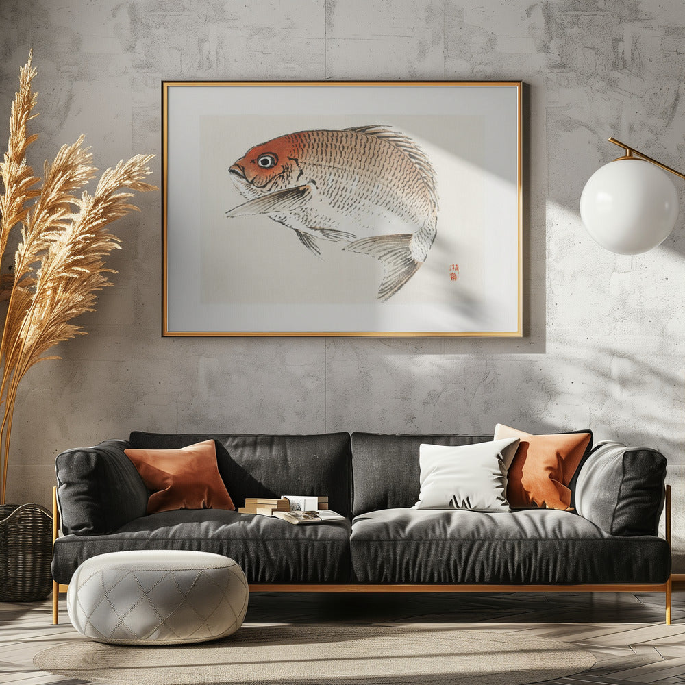 Tai (red Seabream) Fish | Poster