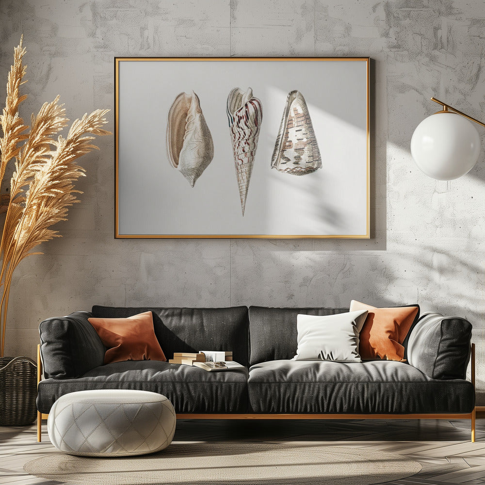Three Mollusks Crop | Poster