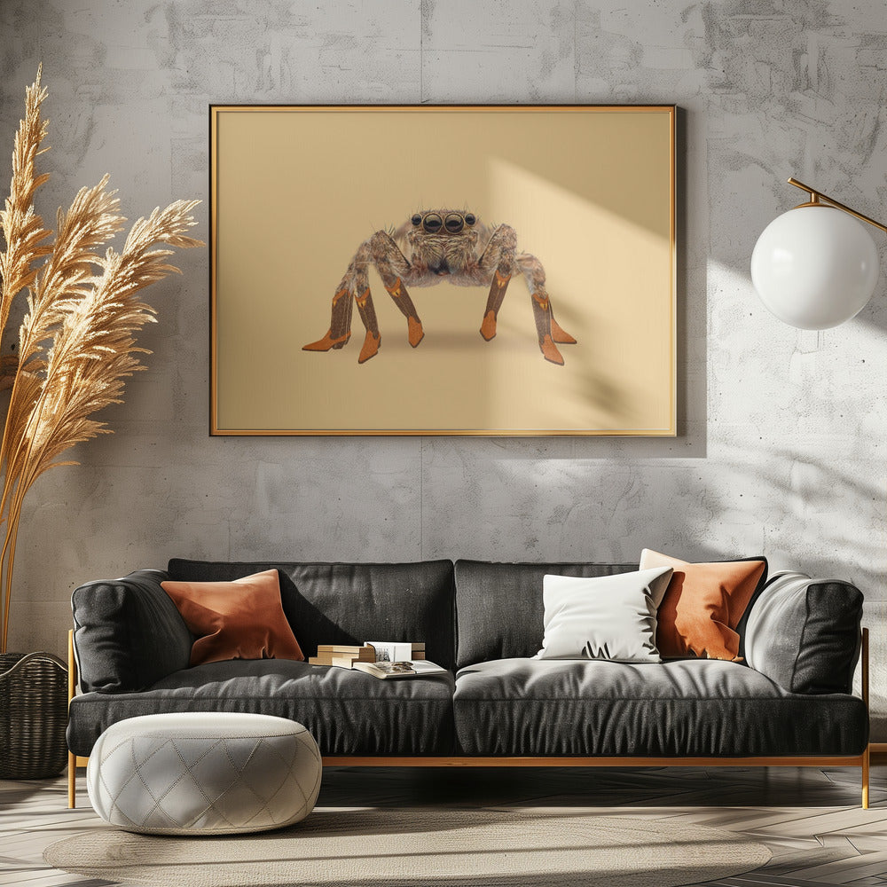 Lydia the Leggiest Cowgirl Spider | Canvas