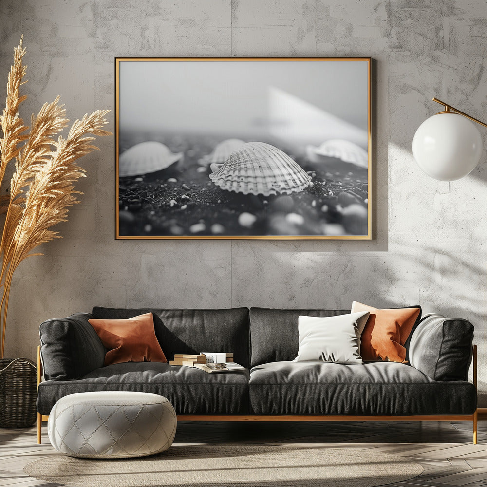 Seashell Serenity | Canvas