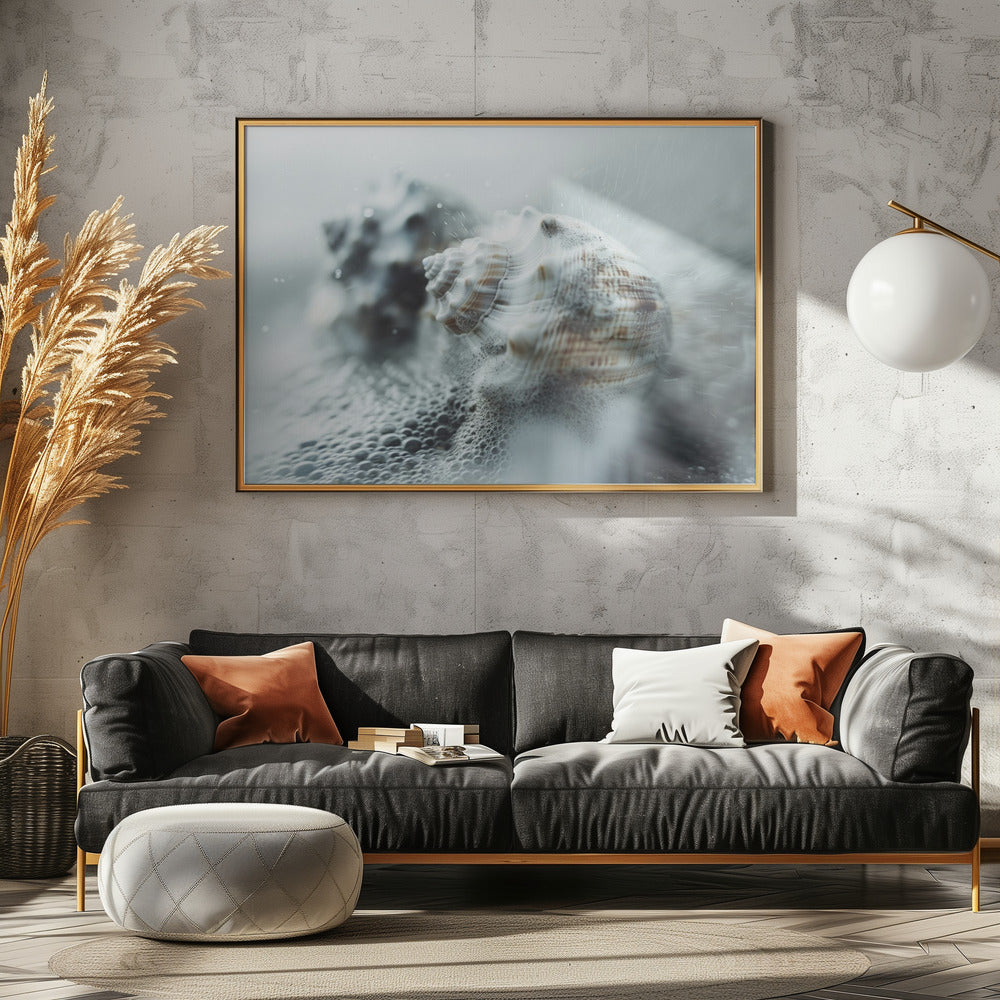 Shells in Ocean Mist | Poster