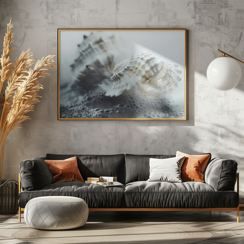 Seashell Serenity | Canvas
