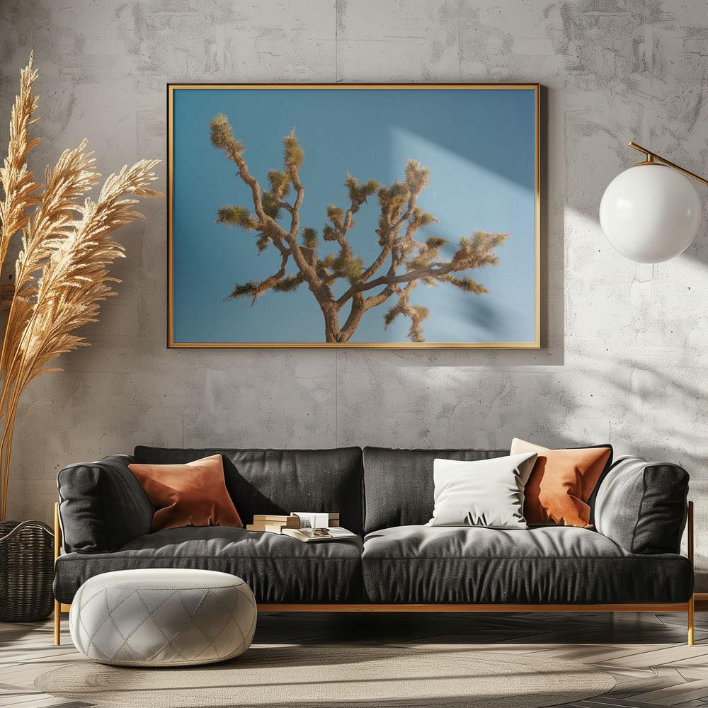 Joshua Tree Moon III | Canvas