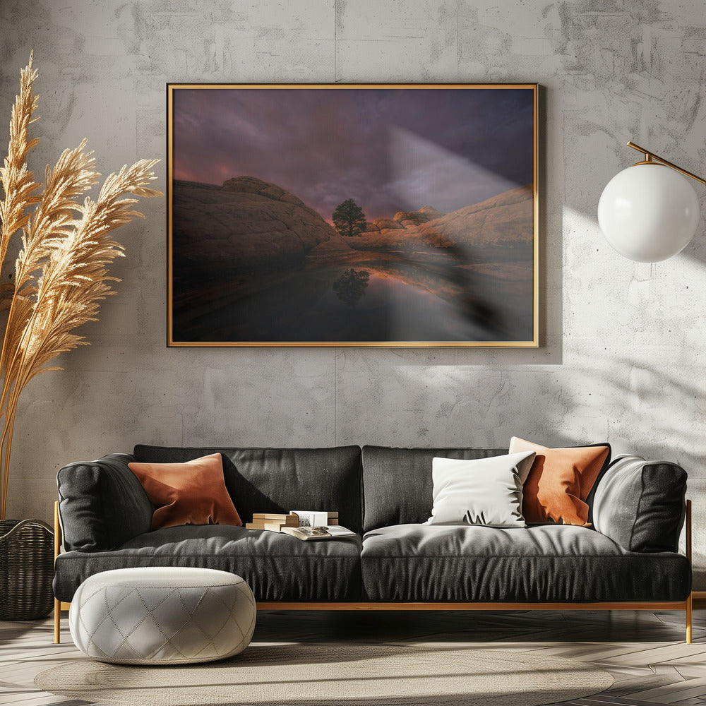 Morning Light | Canvas