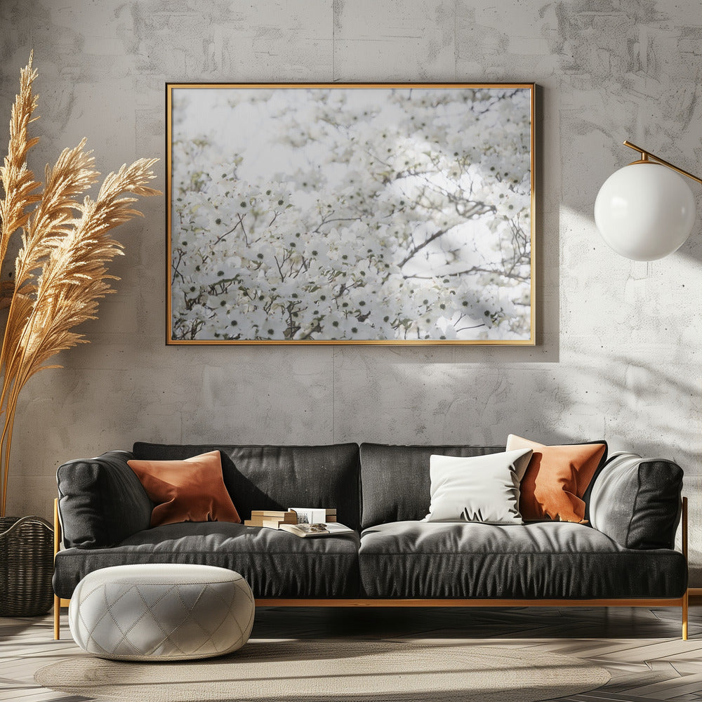 White Spring Tree 1 | Poster