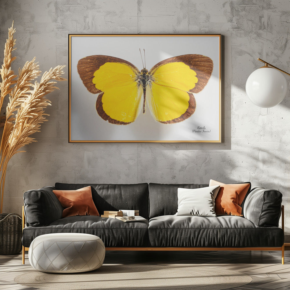 Butterfly - 2 | Poster