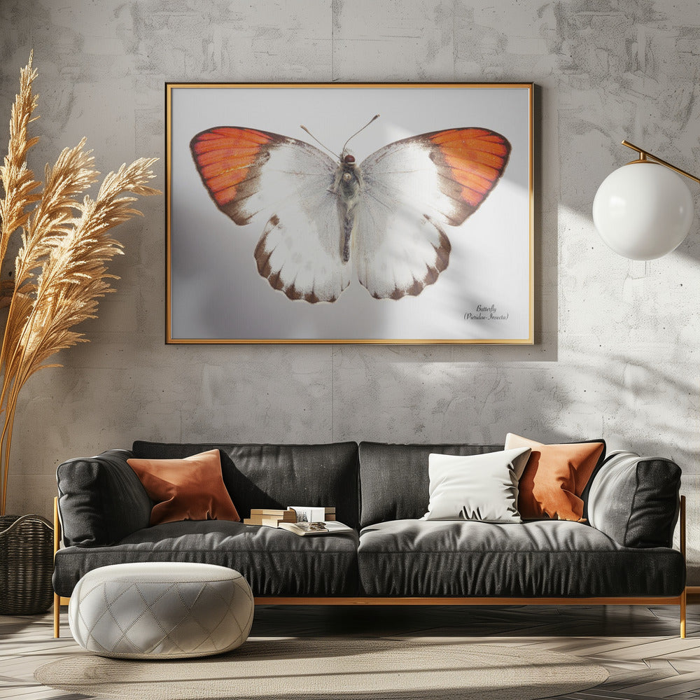 Butterfly - 3 | Canvas