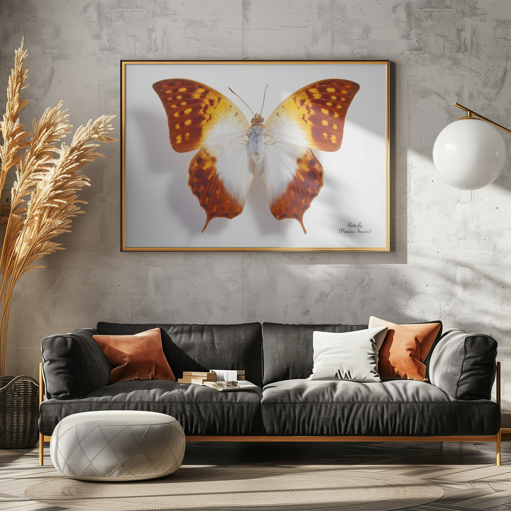 Butterfly - 4 | Poster