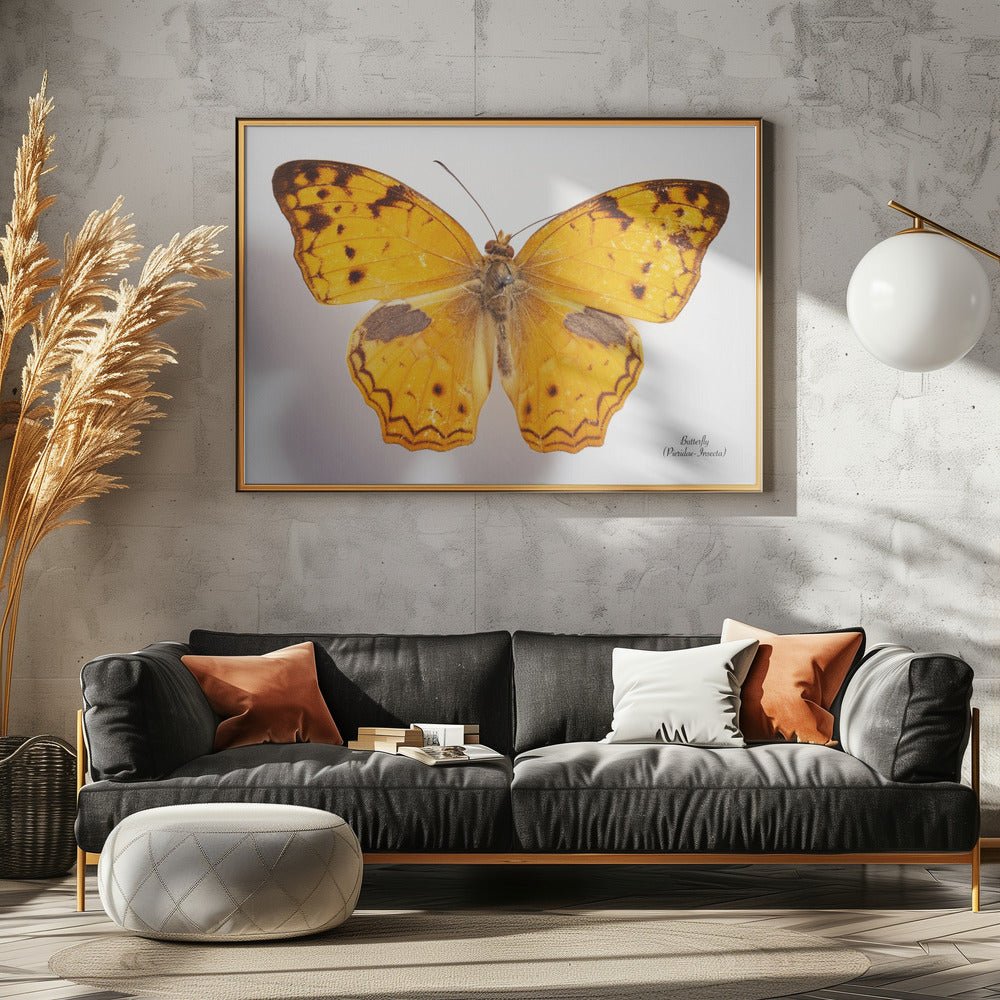 Butterfly - 10 | Canvas